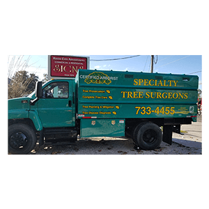 Vehicle-Lettering-Specialty-Tree-Services